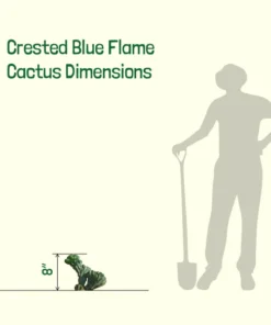 Blaue Flamme mit Haube