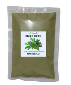 Mimosa Pudica Capsules